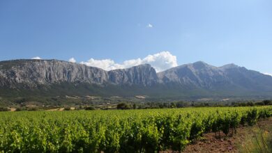 Paesaggio del Supramonte a Oliena, Barbagia