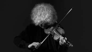 Angelo Branduardi suona il violino