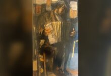 Suonatore di organetto, olio su tela di Carlo Contini del 1967