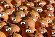 Tante zucche di Halloween con occhi e sorrisi disegnati
