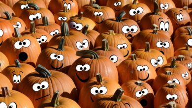 Tante zucche di Halloween con occhi e sorrisi disegnati