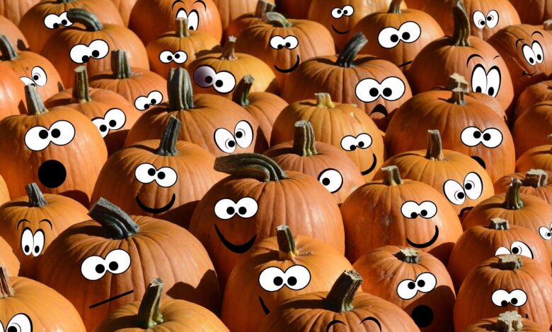 Tante zucche di Halloween con occhi e sorrisi disegnati