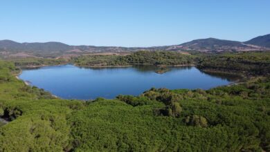 Il lago di Baratz visto dal drone