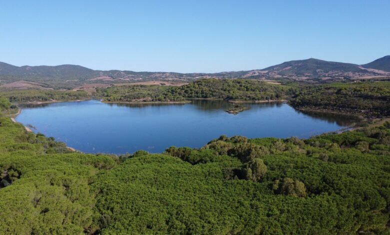 Il lago di Baratz visto dal drone