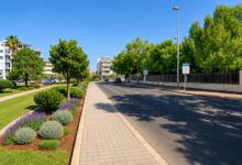 Immagine illustrativa del progetto di riqualificazione del verde in via Cagliari a Oristano