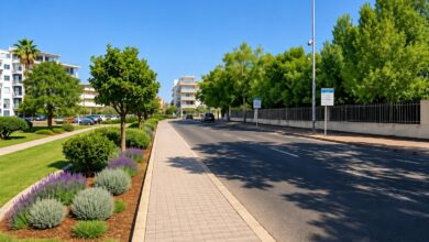 Immagine illustrativa del progetto di riqualificazione del verde in via Cagliari a Oristano