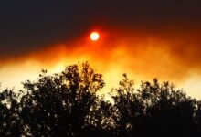 Fumo di un incendio oscura il sole dietro la macchia mediterranea
