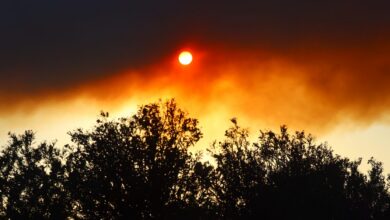 Fumo di un incendio oscura il sole dietro la macchia mediterranea
