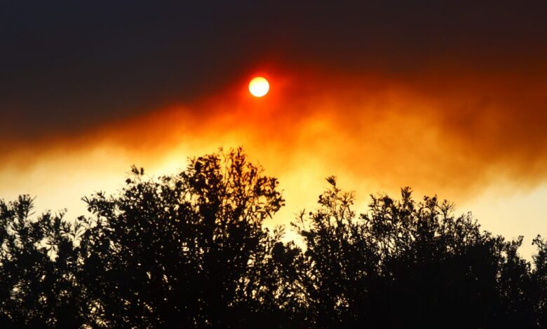 Fumo di un incendio oscura il sole dietro la macchia mediterranea