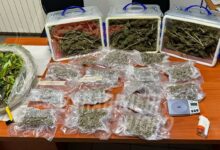 Marijuana e materiale sequestrati dai Carabinieri a Tonara