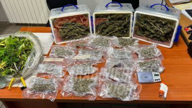 Marijuana e materiale sequestrati dai Carabinieri a Tonara