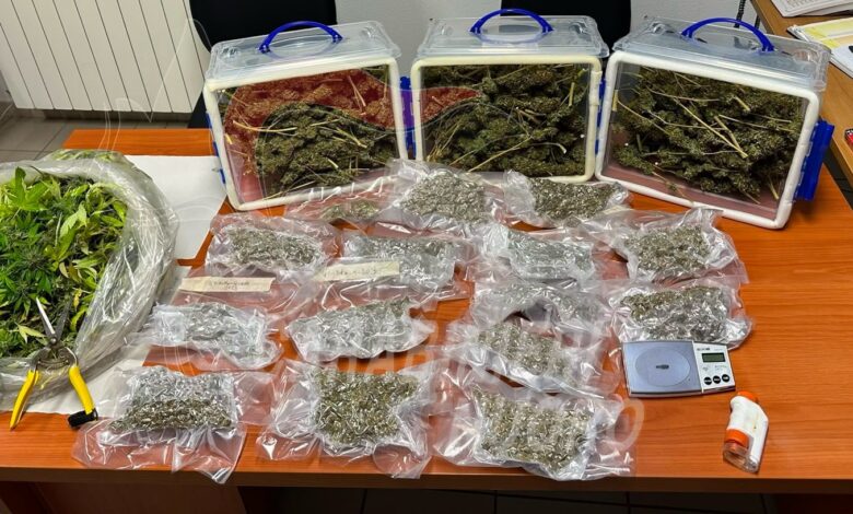 Marijuana e materiale sequestrati dai Carabinieri a Tonara